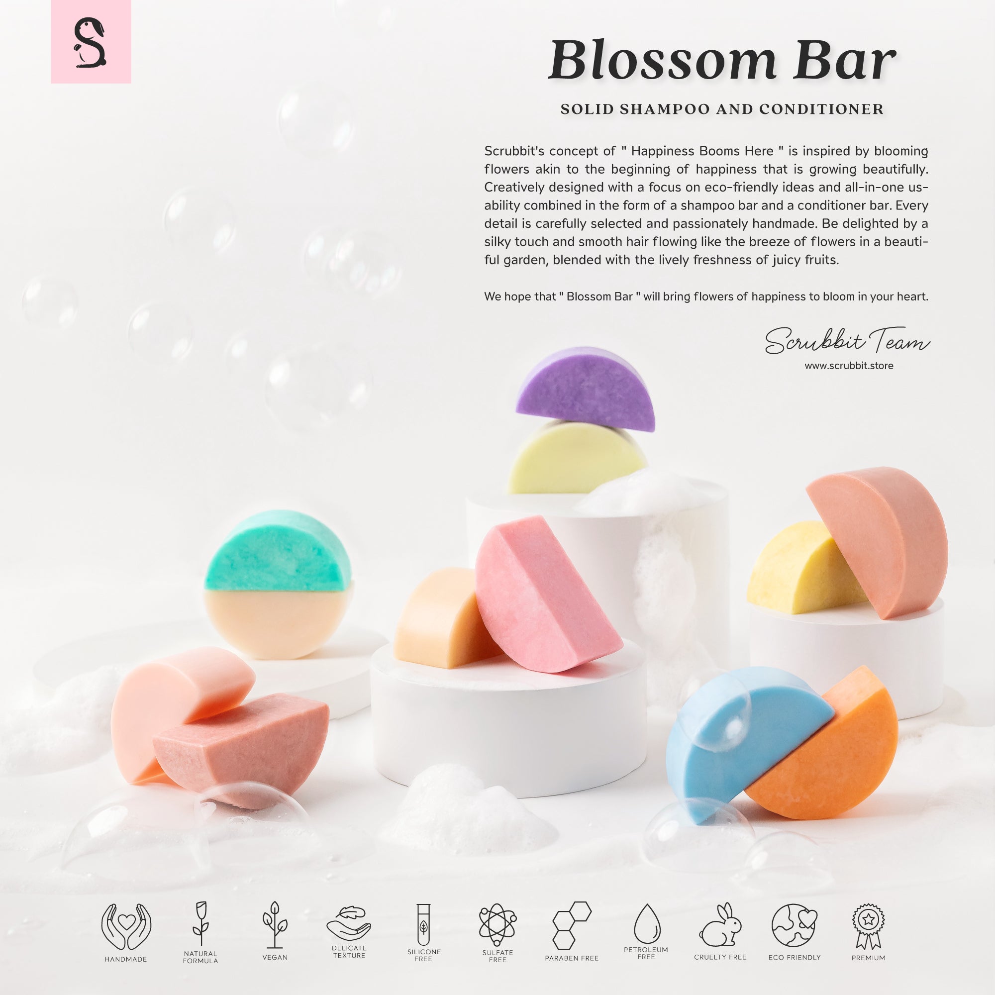 Blossom Bar : Solid Shampoo and Conditioner