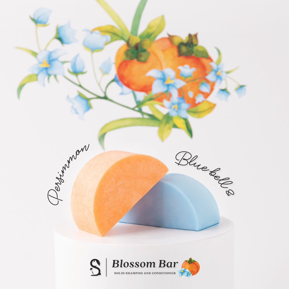 BlueBell &amp; Persimmon